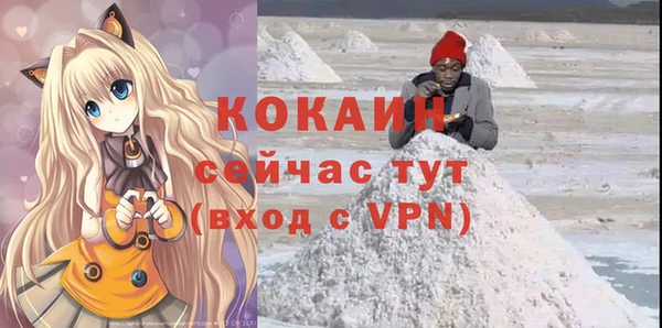 прущие грибы Кодинск