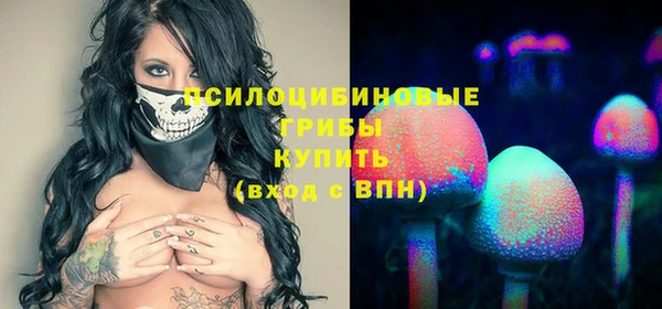 спиды Корсаков