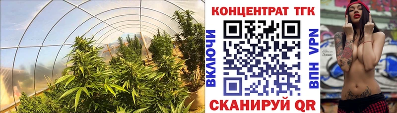 купить  сайты  Хотьково  ТГК вейп 